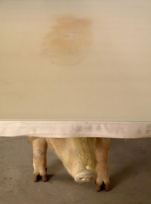 Странная мебель призывающая от поедания мяса отказаться. 04