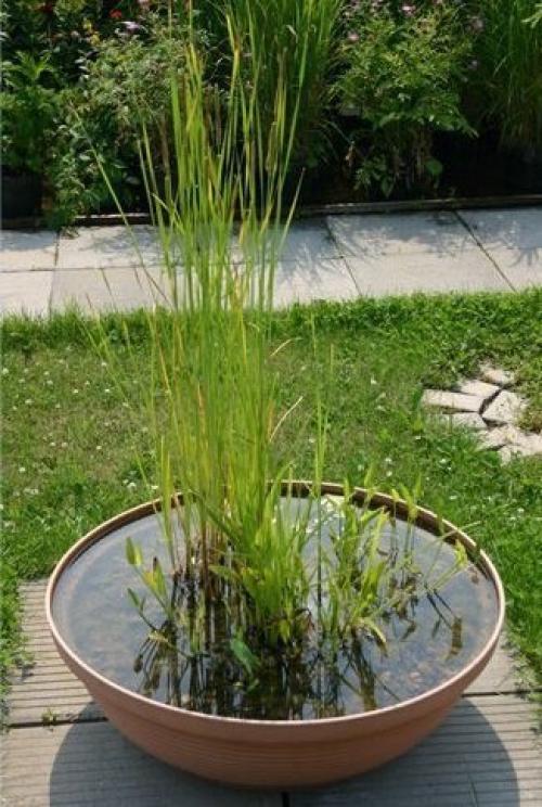 Как сделать минипруд на даче своими руками. 02