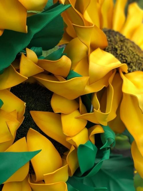 Как же хочется иметь свое красивое желтое солнышко у себя дома у нас распустился подсолнух. 03