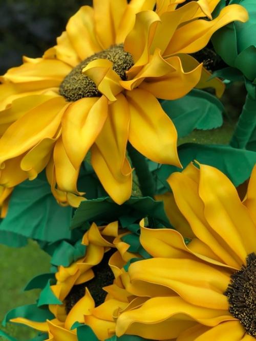 Как же хочется иметь свое красивое желтое солнышко у себя дома у нас распустился подсолнух. 08