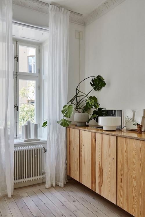 Модный вызов: новая роль комнатных растений в интерьере. 05