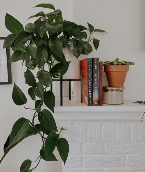 Двухэтажный американский дом в скандинавском стиле. 06