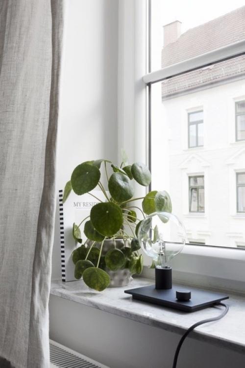 Модный вызов: новая роль комнатных растений в интерьере. 06