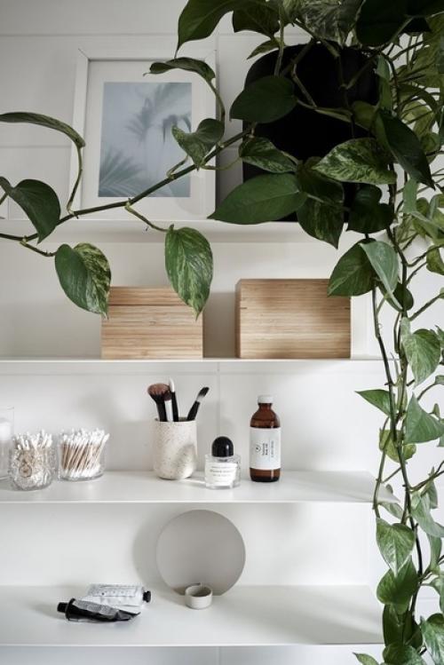 Модный вызов: новая роль комнатных растений в интерьере. 01