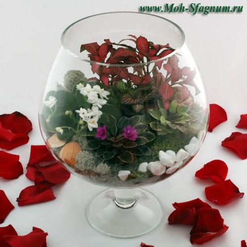 Флорариум - оазис красоты в вашем интерьере. 01