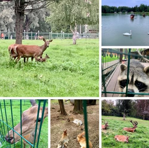 Вечер в отеле Аристократ, расположенном в красивом месте на слиянии двух рек волги и покши. 04
