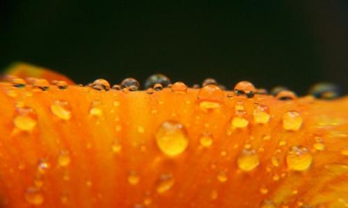 Оранжевый цвет так и излучает теплоту и энергию. 01