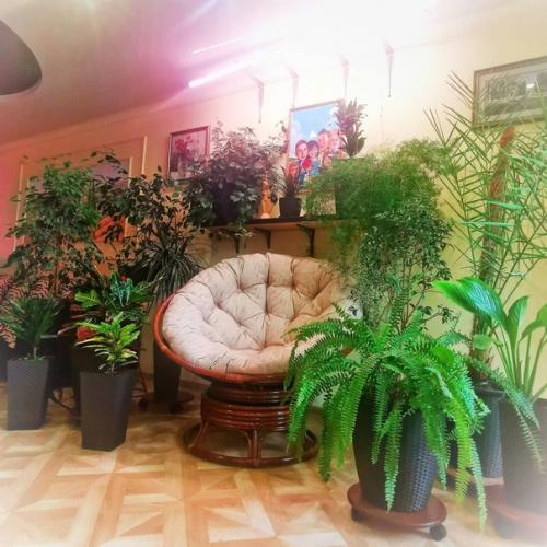 Моя мечта: дом - сад. 01