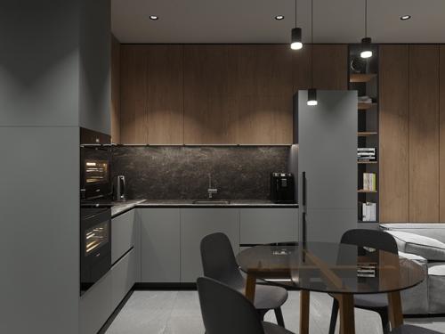 Проект однокомнатной квартиры 48 м 2 в ЖК Barton House в Пензе. 01