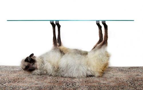 Странная мебель призывающая от поедания мяса отказаться. 05