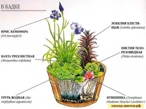 Как сделать минипруд на даче своими руками. 03