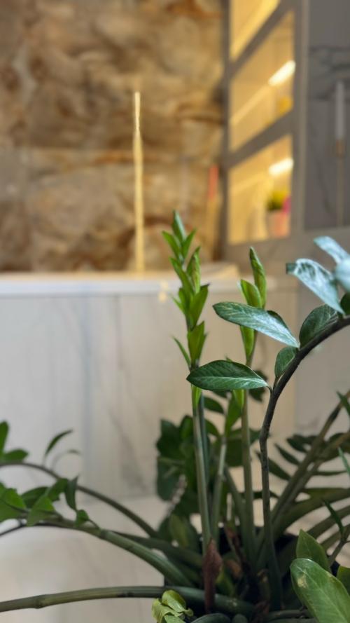 Девчоночки, мы раскачаем эту осень! 02 Девчоночки, мы раскачаем эту осень! 02