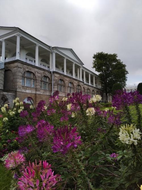 Царскосельский дворцово-парковый ансамбль - блестящий памятник мировой архитектуры и садово-паркового искусства Xviii - начала XX века. 01