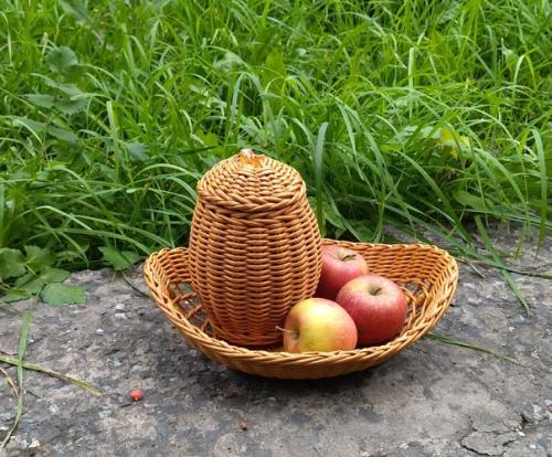 Я нашла на сво м жилмассиве чудесную, заросшую травой, лесенку, которой никто не пользуется, к ней даже троп нет. 07
