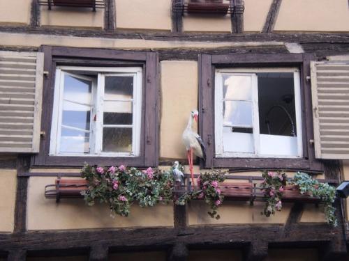 Где бывали?  Что видали? 05