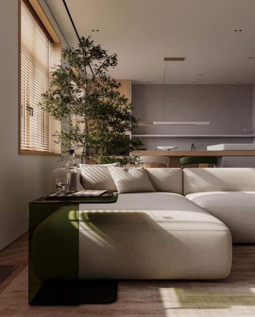 Кухни - гостиная в современном стиле. 02