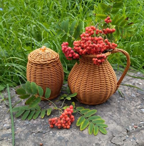 Я нашла на сво м жилмассиве чудесную, заросшую травой, лесенку, которой никто не пользуется, к ней даже троп нет. 08
