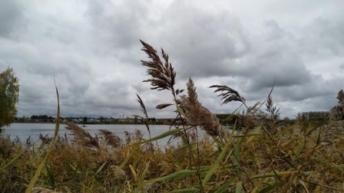 Чудные выходные в гостином доме Медведь. 08 Чудные выходные в гостином доме Медведь. 08