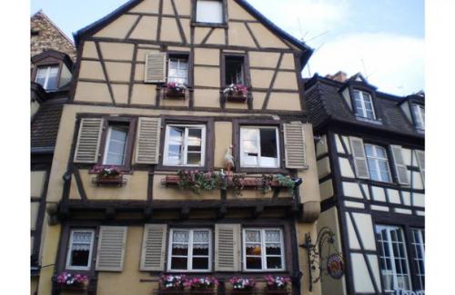 Где бывали?  Что видали? 04