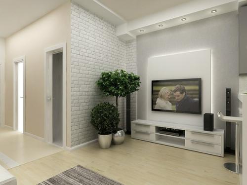 Проект однушки, площадь 44, 7 м. кв. 03