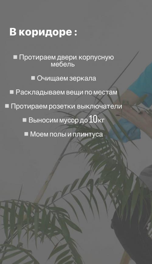 Что входит в генеральную уборку? 03