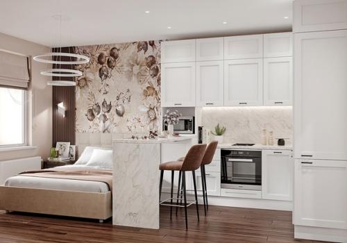 Проект квартиры - студии 24, 7 кв. 02