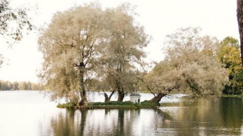 Недавно целый день в Гатчине во дворцах и парках гуляла. 04 Недавно целый день в Гатчине во дворцах и парках гуляла. 04