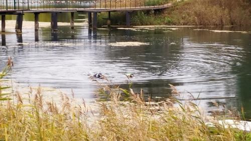 Чудные выходные в гостином доме Медведь. 09 Чудные выходные в гостином доме Медведь. 09