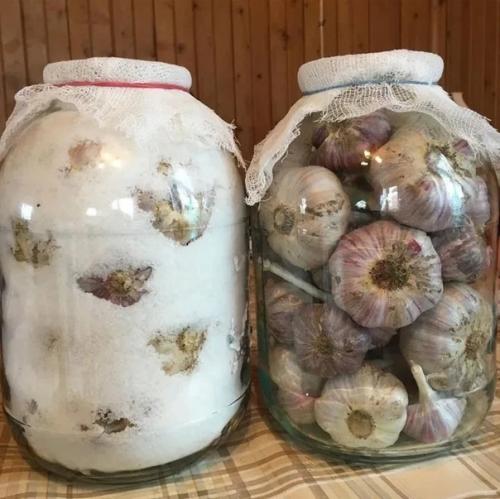 Хранение чеснока в домашних условиях. 01