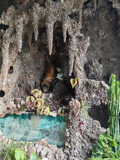 Чем можно удивить петербуржца после наших - то дворцов и архитектурных шедевров? 05