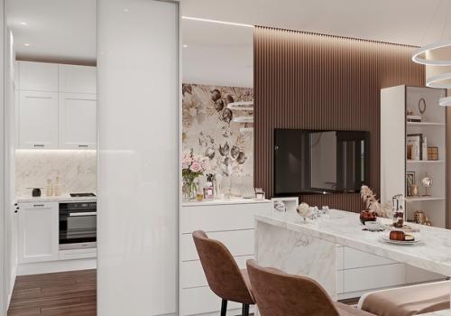 Проект квартиры - студии 24, 7 кв. 04