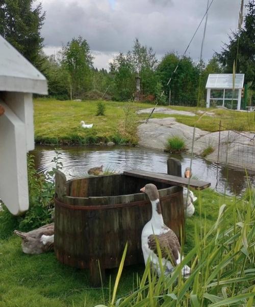 Этот красивый деревенский дом на землях прекрасной Швеции расположился. 07