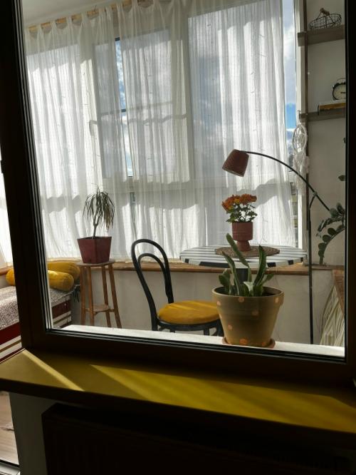 Во всём виноваты горчичные колготки. 03