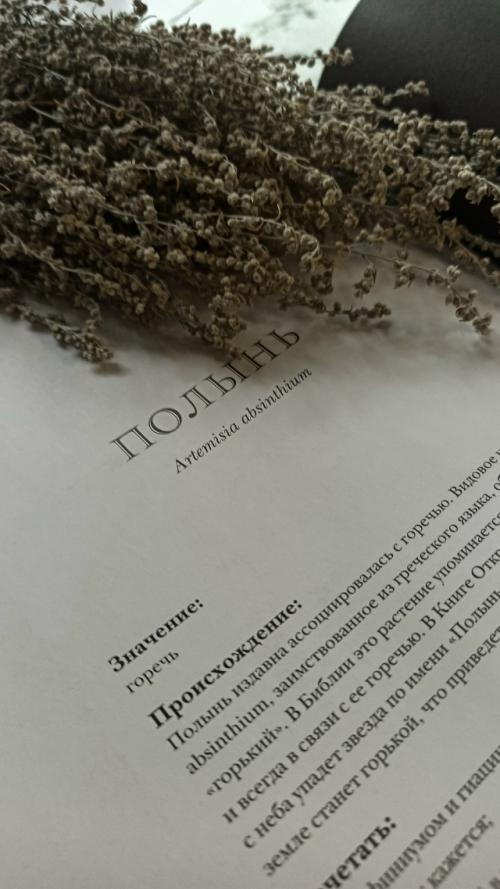 Полынь полевая, дикая, горькая, серебристая.