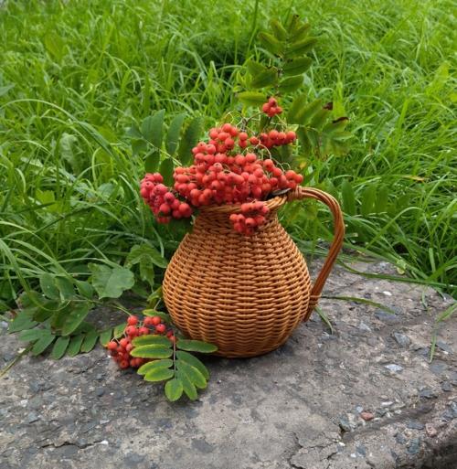 Я нашла на сво м жилмассиве чудесную, заросшую травой, лесенку, которой никто не пользуется, к ней даже троп нет. 02