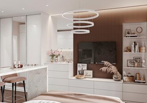 Проект квартиры - студии 24, 7 кв. 05