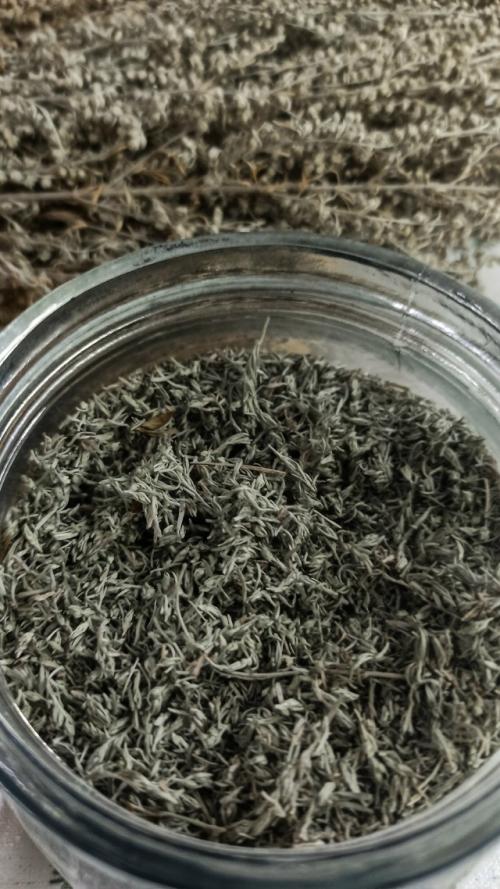 Полынь полевая, дикая, горькая, серебристая. 06