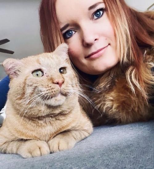 Вот как меняет котика жизнь дома! 03