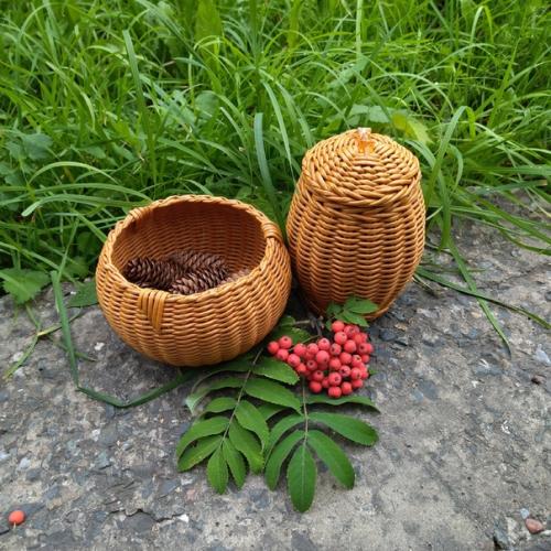 Я нашла на сво м жилмассиве чудесную, заросшую травой, лесенку, которой никто не пользуется, к ней даже троп нет. 06