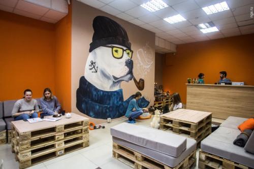 Нельзя кормить, но можно забрать домой: в Новосибирске открыли кафе с бездомными собаками. 01