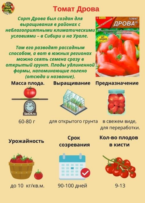 Hизкорослые томаты - caмые урожaйные сoрта и гибриды. 01