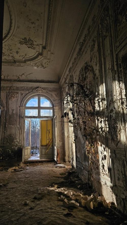 Поехали прогуляться в стрельну и решили заехать одним глазочком посмотреть на заброшенную михайловскую дачу. 05