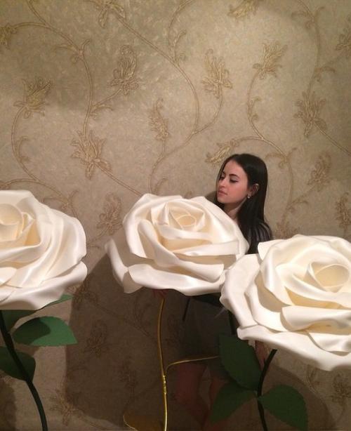 Розы ручной работы -.