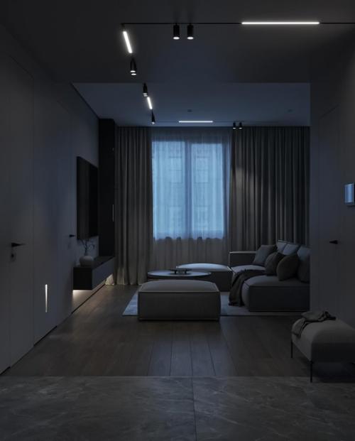 Кухня - гостиная.  Уютный минимализм. 03