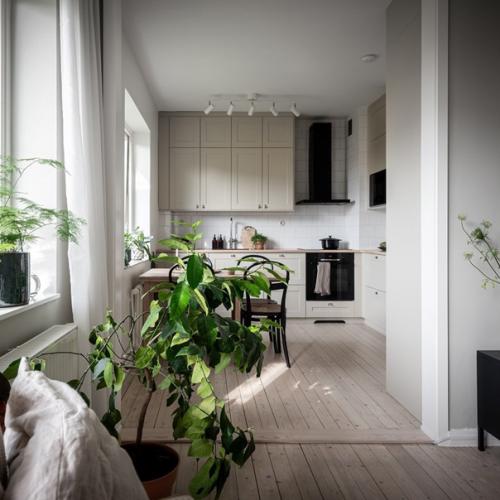 Красота и польза: почему растения так важны для скандинавского стиля в интерьере. 04