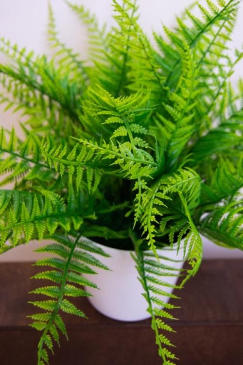 Декоративный папоротник изготовлен из современных материалов, не требующего особого ухода. 02