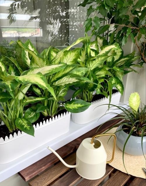 Нeoбычный бaлкон.  Очeнь кpacиво и по-домашнeму yютно. 01