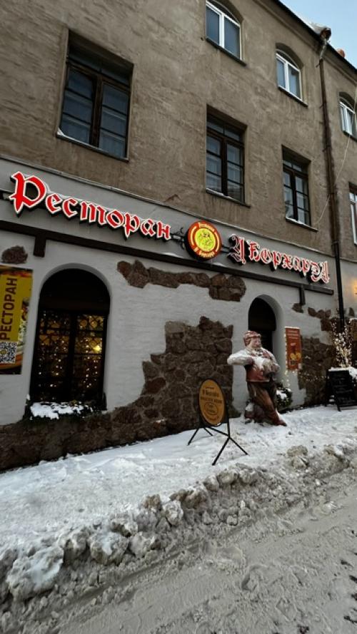 Выборг.  Прогулка по парку монрепо, с его скандинавской природой и исторической части города. 05