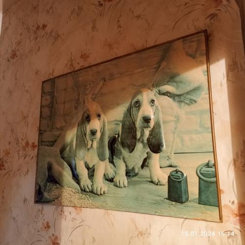 Про дизайн.  Я люблю мастерить, рукодельничать и делать ремонт. 02