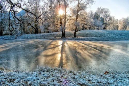 10 главных достопримечательностей царского села. 02